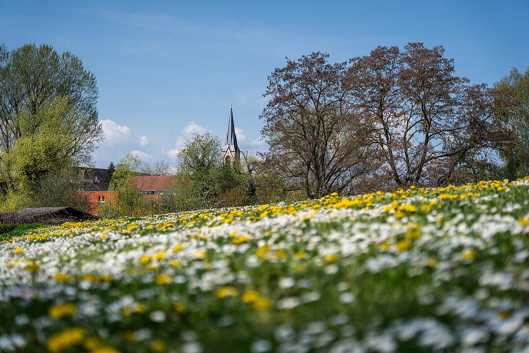 Wundersch&ouml;ne Naturfotos aus Bamberg.
