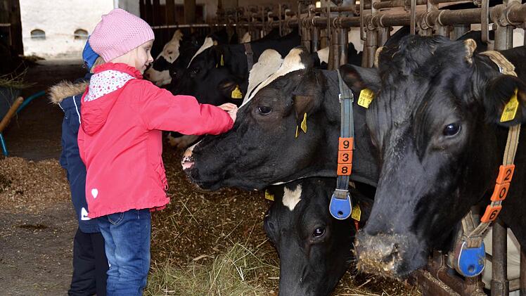 Es hat eine Weile gedauert, bis sich die Kinder trauen, die Tiere zu berühren. Umso liebevoller gehen sie schließlich mit den Kühen um. Hier streicheln Maike und Taylor eine Schwarzbunte.  Foto: Kathrin Kupka-Hahn
