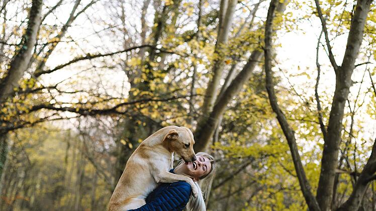 Ebenso wie Menschen können Hunde an Demenz erkranken.