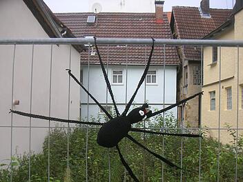 Auch diese Spinne ist mit Wolle eingekleidet worden. Foto: Fießer