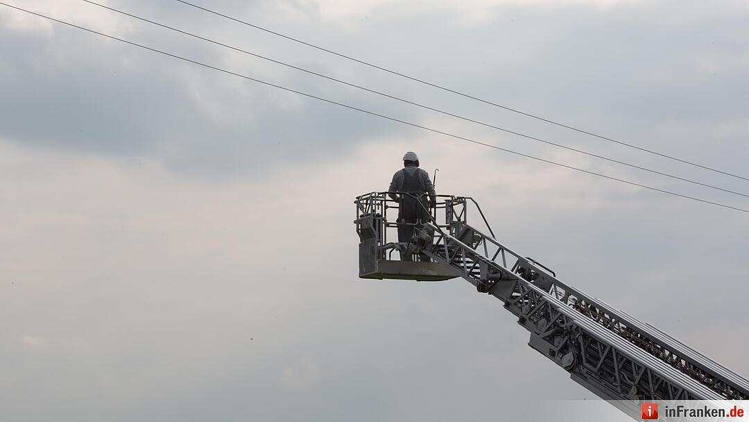 Katze Molli löst Feuerwehreinsatz aus
