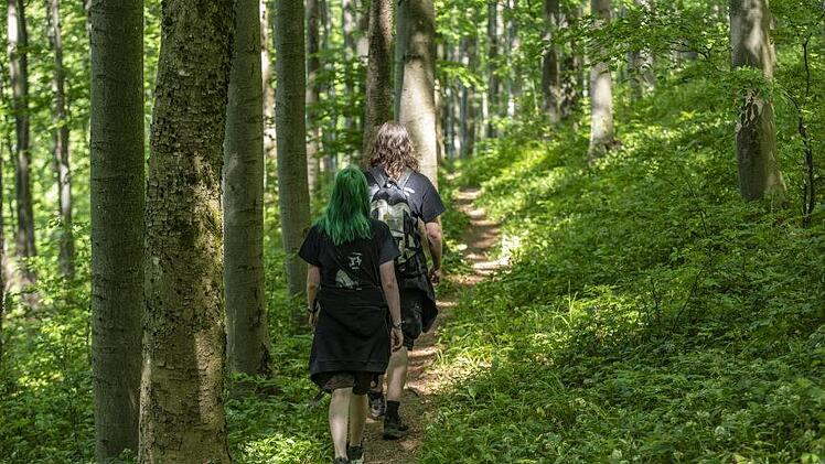 Idyllische Waldwege führen durch den Wald am Galgenfirst entlang. Foto: Jürgen Hüfner