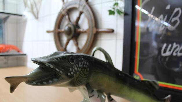 Zur Abwechslung mal ein S&uuml;&szlig;wasserfisch im Dekor des Ladens. Markus H&auml;ggberg