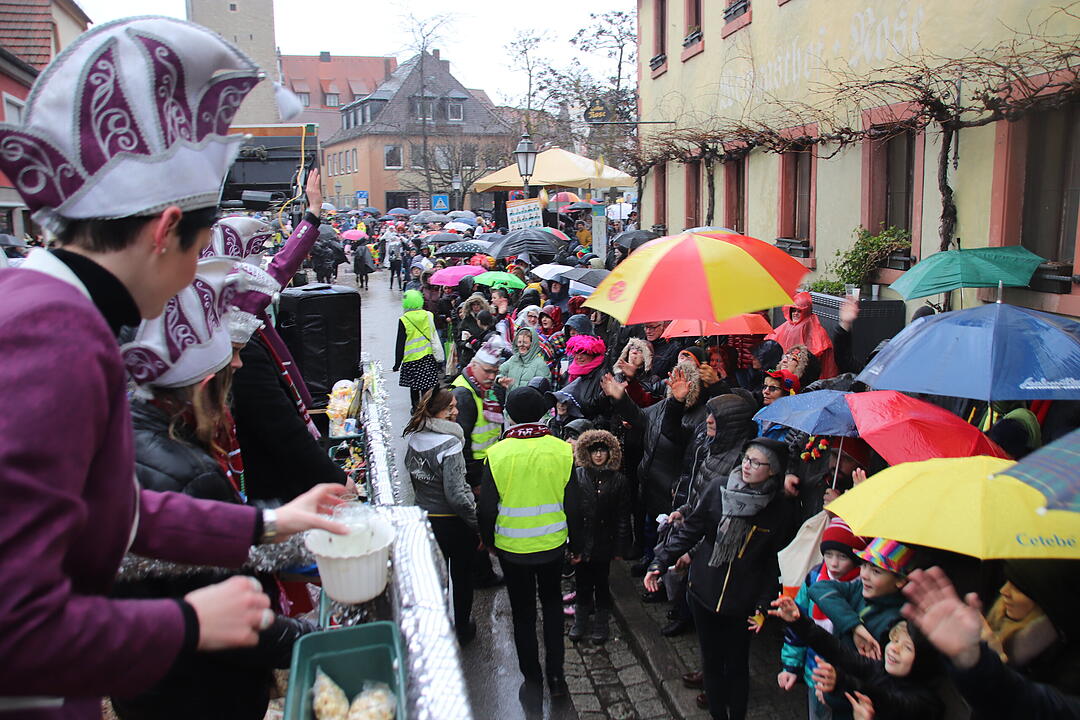 Kreisfaschingsumzug 2020