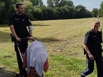 Nachdem eine Mutter von Hornissen gestochen wurde, kümmerten sich Polizisten um ihren Nachwuchs. Einsatz