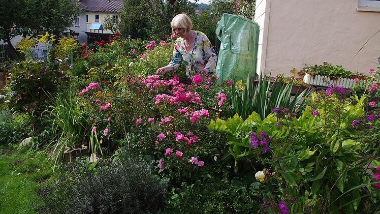Im Garten von Helga Fleischmann gibt es immer etwas zu tun.