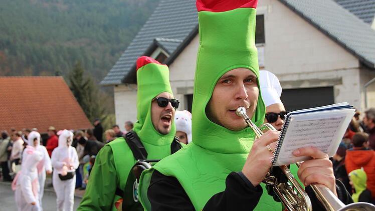 Faschingszug in Steinach. Foto: Benedikt Borst
