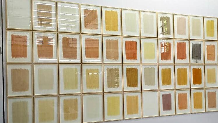 Bei der letzten großen Ausstellung jüngst in Ingolstadt gezeigt: Herman de Vries' "Ausreibungen" mit Erden aus dem Landkreis Haßberge.
