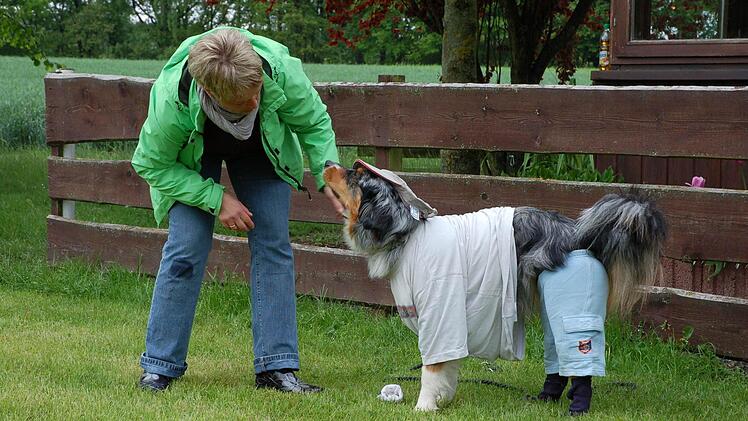 Anja Reißenweber hat es geschafft, ihre Hündin Lucie "einzukleiden". Foto: Rainer Lutz