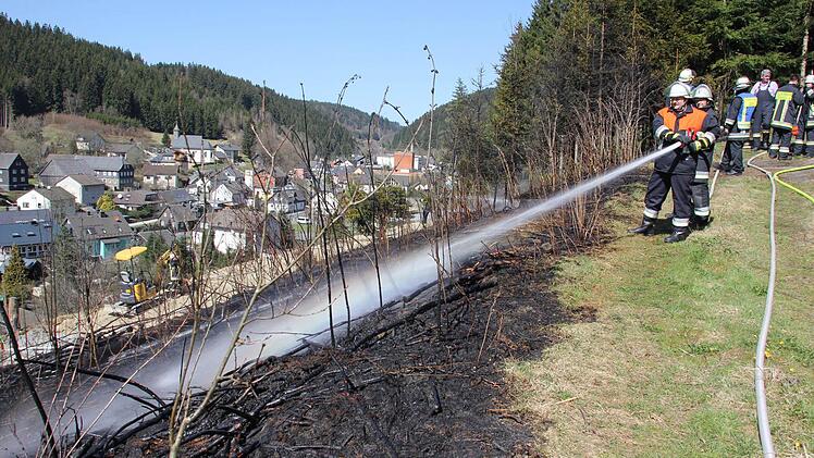 Die Wehrleute bekämpften den Brand.  Foto: Friedwald Schedel