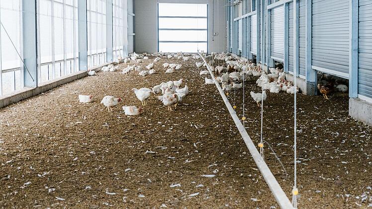 Foto: Marian Hamacher