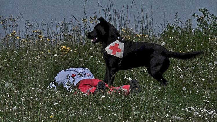 Blaulichttag in Hammelburg  Foto: Gerd Schaar