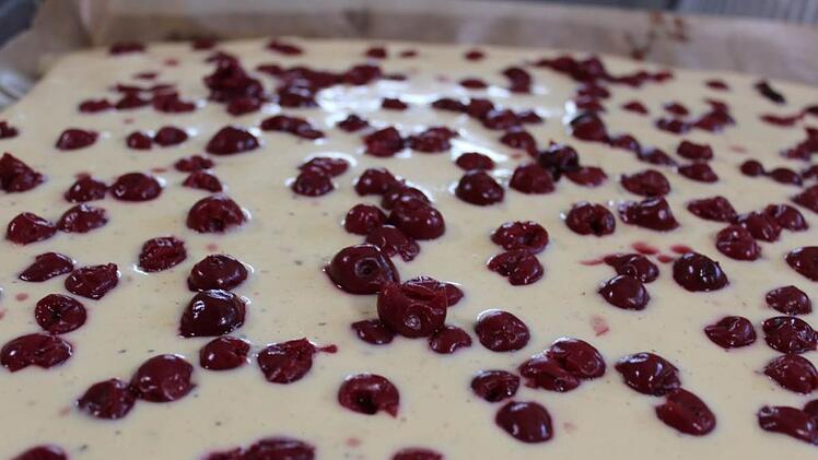 Leckerer Blechkuchen mit Vanillecreme