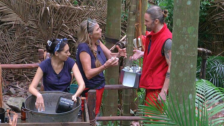 Ich bin ein Star - Holt mich hier raus! - Tag 6