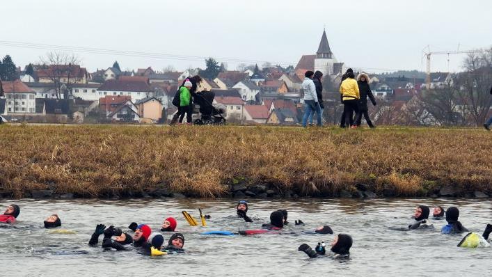 Gut eingepackt in Neoprenanzügen zogen die Schwimmer ihre Bahn auf dem Main-Donau-Kanal. Fotos: Andrea Spörlein