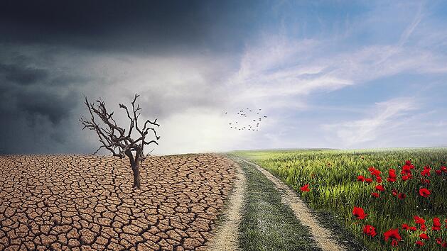 Wetter vs. Klima: Was ist richtig?