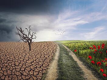 Wetter vs. Klima: Was ist richtig?