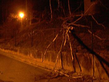 Einen vom Sturm entwurzelten Baum in Burghaig muss die Kulmbacher Feuerwehr beseitigen.  Fotos: Feuerwehr
