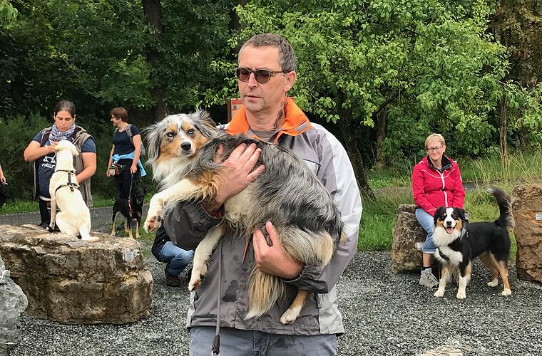 Therapiehundeausbildung erfolgreich abgeschlossen