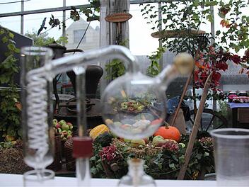 Mit viel Liebe zum Detail haben Obst- und Gartenbauvereine aus dem Altlandkreis eine Erntedank-Ausstellung in der Gärtnerei Christoph Schlereth in Hammelburg zusammengestellt.  Fotos: Gerd Schaar