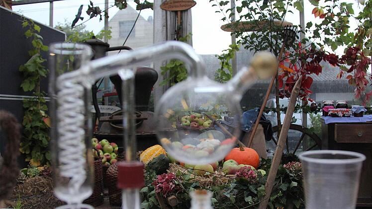 Mit viel Liebe zum Detail haben Obst- und Gartenbauvereine aus dem Altlandkreis eine Erntedank-Ausstellung in der Gärtnerei Christoph Schlereth in Hammelburg zusammengestellt.  Fotos: Gerd Schaar