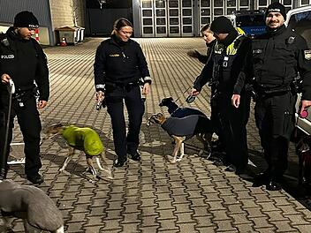 Notarzteinsatz an Schwabacher Waschanlage - Polizei rettet fünf Windhunde