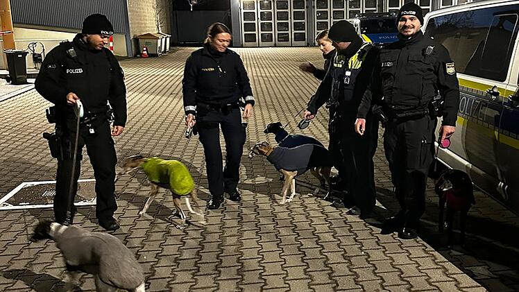 Notarzteinsatz an Schwabacher Waschanlage - Polizei rettet fünf Windhunde