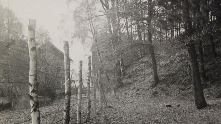 Der Stacheldrahtzaun zwischen Bayern und Thüringen 1953 in Bergmühle bei Neustadt. So sah die Zonengrenze in den ersten Jahren aus. Foto: Alfons Grau