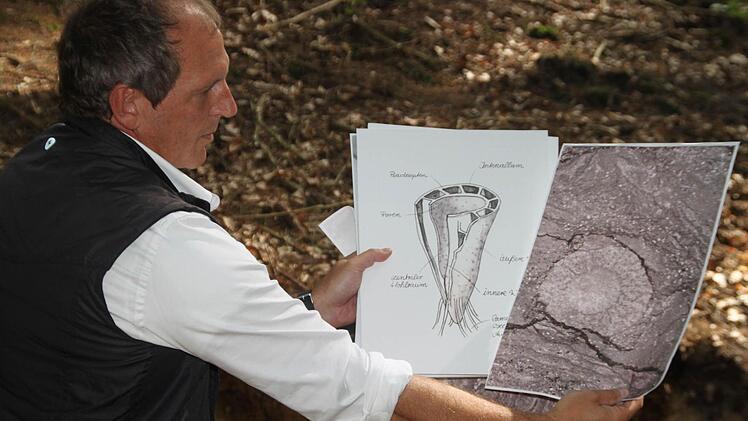 So haben die Tiere ausgesehen.