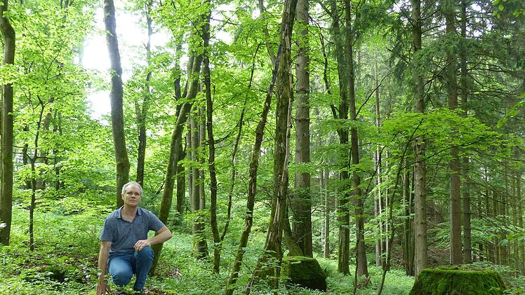 Einige der Betonfundamente lassen sich auf der Wanderstrecke "Hüttentour" zwischen Riedenberg und dem Farnsberg bei genauerem Hinsehen noch entdecken.  Volker Waldau fand sie. Foto: Evelyn Schneider