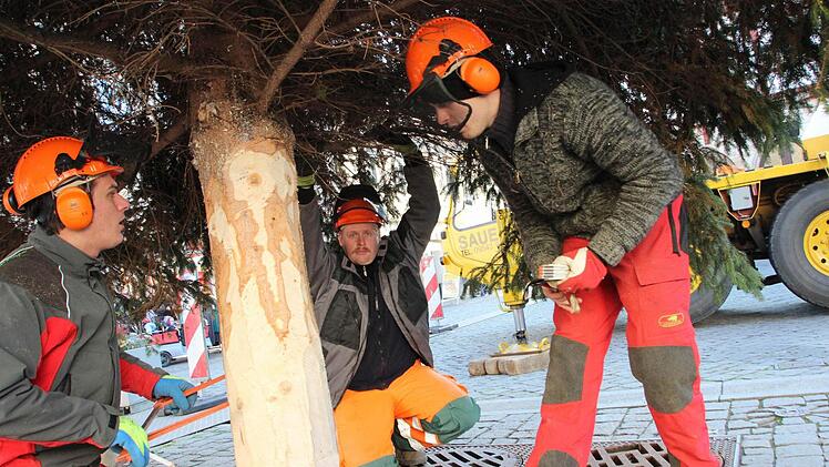 Frank Lahner (Mitte) tut alles,  damit der Baum sich nicht dreht.