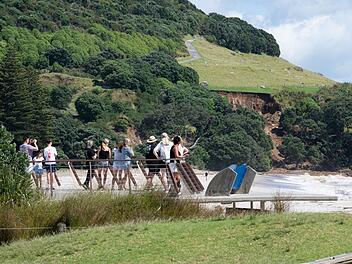 Erdrutsch in Neuseeland