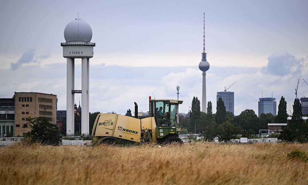 Mahd am Tempelhofer Feld