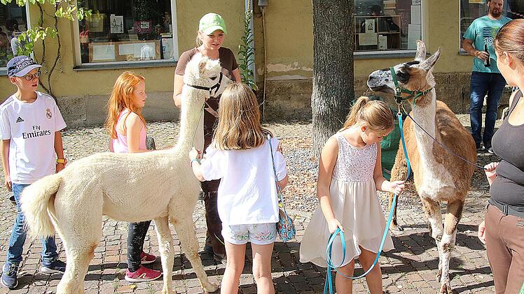 Ein Lama (rechts) und ein Alpaka (links) ließen sich gerne streicheln. Die  Kinder durften mit ihnen kleine Touren durch die Stadt unternehmen. Foto:  Dieter Britz
