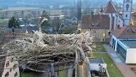 Das Nest am Mönchsturm ist gerichtet.