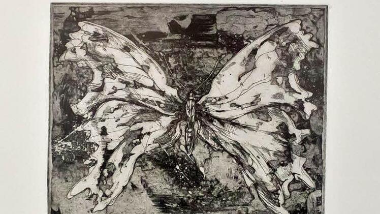 Herbert Franz: Schmetterling, Flächenätzung