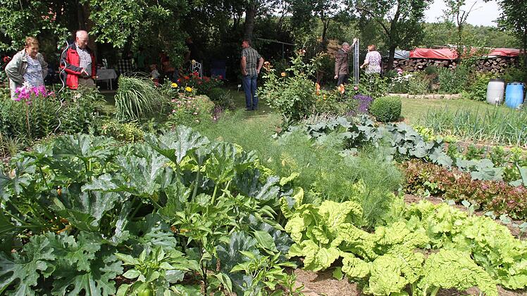Im Garten der Familie Tremel wächst eine Vielfalt an Gemüsen.   Foto: Gerda Völk