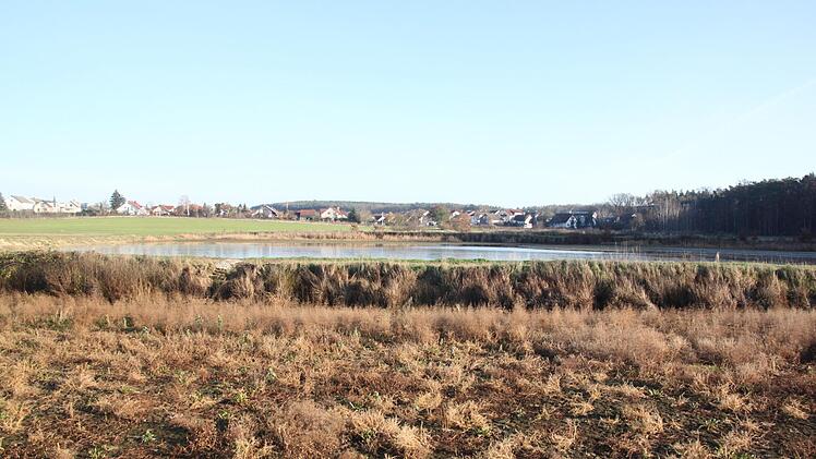 Im Hintergrund ist der - derzeit natürlich abgefischte - Karpfenweiher zu sehen, im Vordergrund der schon sehr zugewachsene kleinere Weiher, der seit Jahren wenig bis kein Wasser mehr hat.