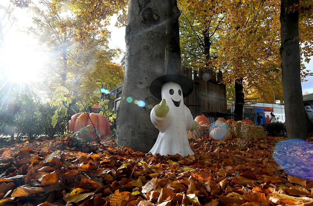 Halloween - Spooky Tour 2025 in der Bavaria Filmstadt