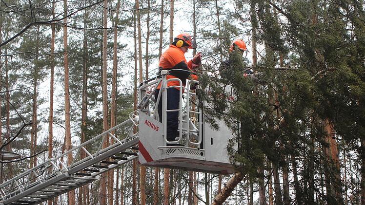 Die Feuerwehr musste ausrücken und den Baum Stück für Stück kleinsägen, um ihn gefahrlos entfernen zu können. Foto: News5/Grundmann
