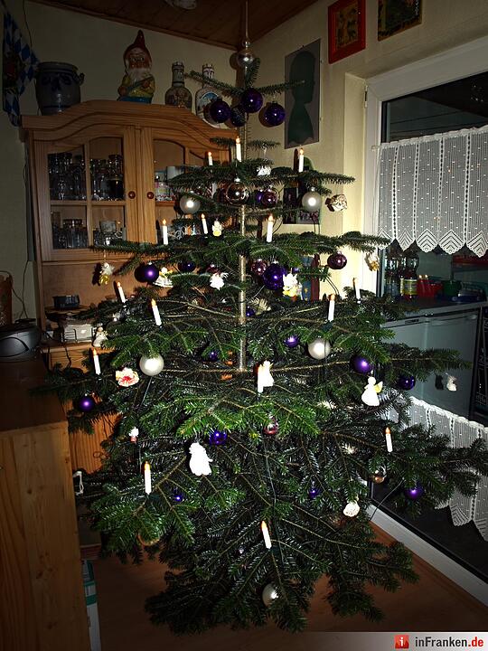 Weihnachten in Franken: Die Christbäume unserer Leser