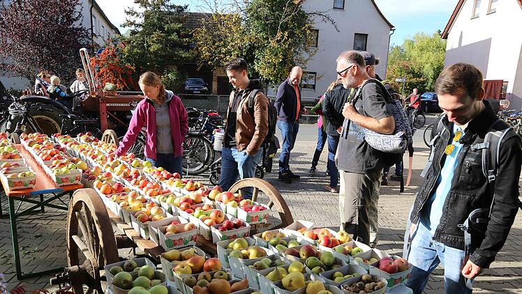 Nicht nur Geistreiches sondern auch Bioäpfel finden auf dem Biohof Schmidt großen Anklang. Foto: Franz Galster