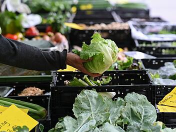 Salat-R&uuml;ckruf bei Edeka und Marktkauf &ndash; Verzehr dringend abgeraten