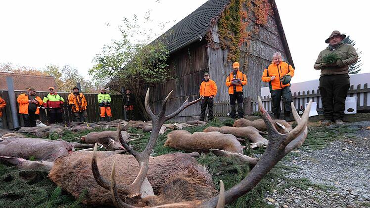 Die Strecke der erlegten Tiere wurde stilgerecht von der Bläsergruppe des BJV-Kreisgruppe Hammelburg verblasen. Gerd Schaar