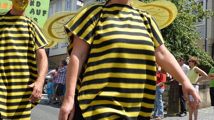 Stadträte als Bienen Foto: Ronald Rinklef