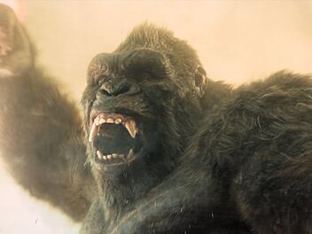 Kong hat in der zweiten Staffel von "Monarch: Legacy of Monsters" noch schlechtere Laune als sonst.