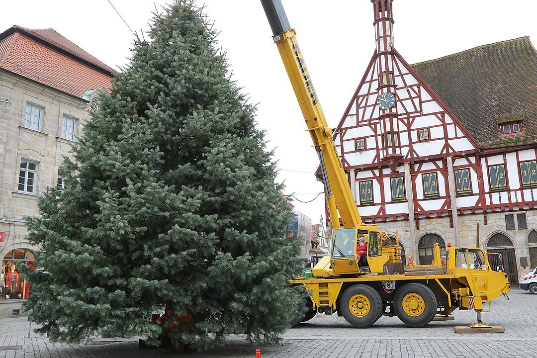 Christbaum kommt aus Schlaifhausen  auf den Forchheimer Rathausplatz
