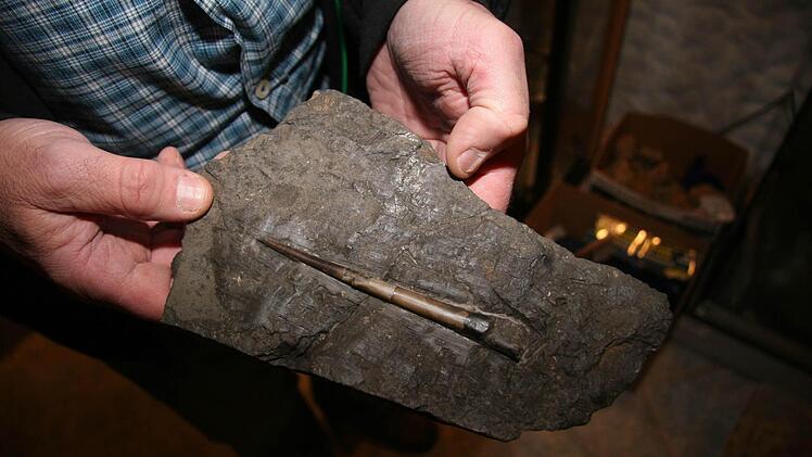 Die Donnerkeile, Teufelsfinger, Geschosse oder Belemniten lebten vor 358 bis 65 Millionen Jahren. Es handelte sich um Kopffüßer, die ein bisschen den heutigen Kalamaren ähnelten.