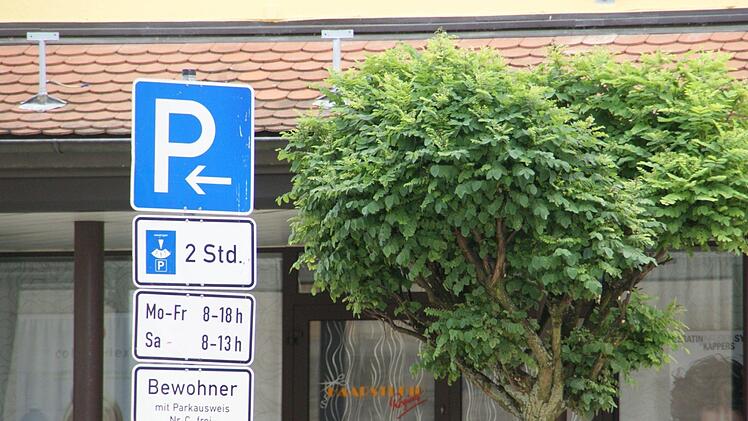 Mit der Möglichkeit, für Handwerker und Soziale Dienste Parkerleichterungen zu schaffen, befasste sich der Stadtrat Eltmann in seiner Sitzung am Dienstag. Fotos: Sabine Weinbeer