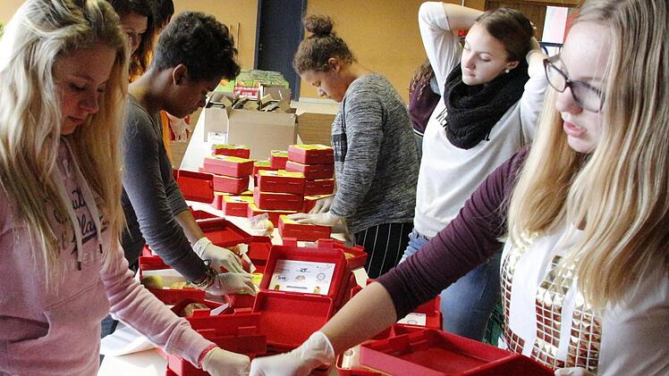 Die Schüler der Mittelschule Eggolsheim packen Brotzeit-Boxen. Foto: Josef Hofbauer